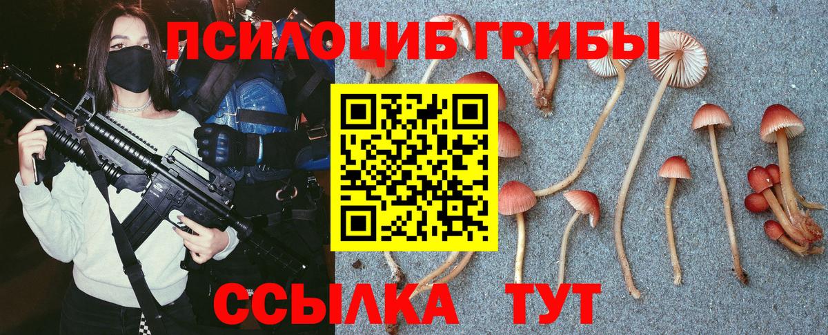 Балтийск  Галлюциногенные грибы прущие грибы  Вход с VPN 