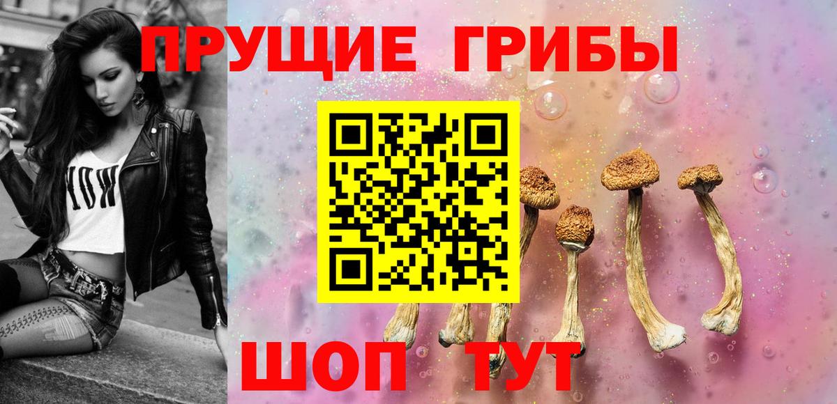 Галлюциногенные грибы прущие грибы Балтийск